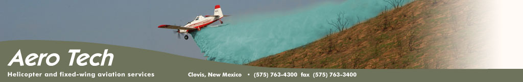 Charter Air Transportation