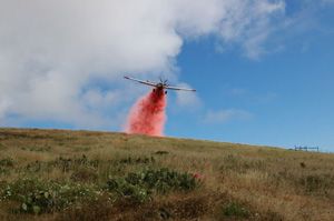 fire fighting